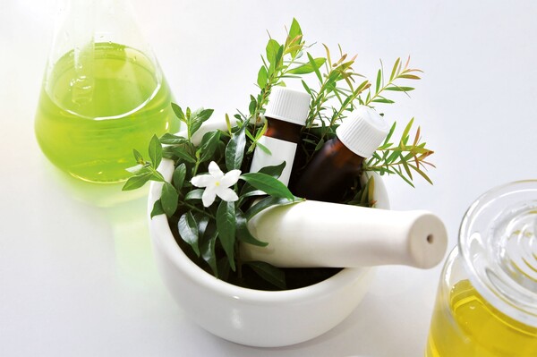 Linea Helyderma